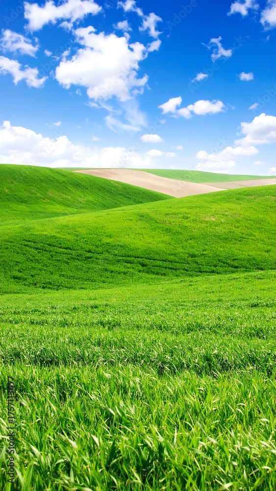 Fototapeta premium Lush green fields with a vibrant blue sky