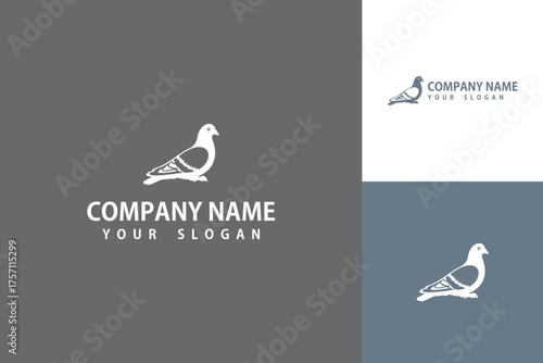 Elegant Pigeon Logo Design for Branding and Business Identity.