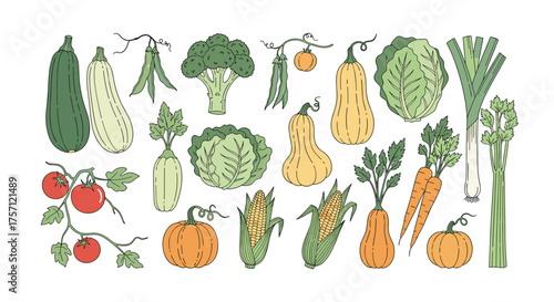 A vibrant collection of fresh garden vegetables artfully arranged for healthy eating.