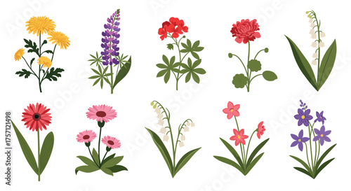 A diverse collection of beautiful spring flowers in full bloom.