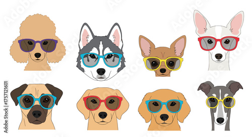 A collection of adorable dogs wearing cool sunglasses in various styles and colors.