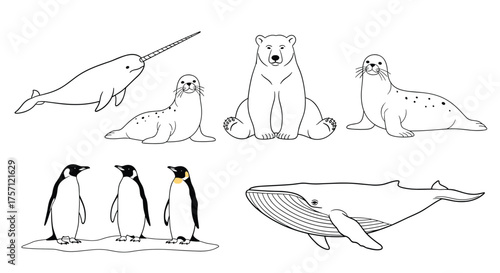 A collection of arctic and antarctic animals including penguins polar bears seals and whales.