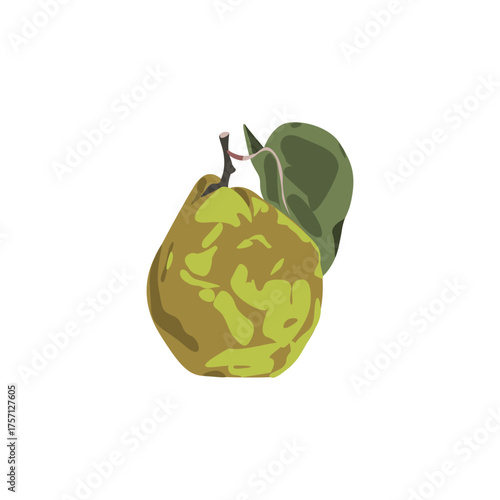 Quince with green leaf on white background
