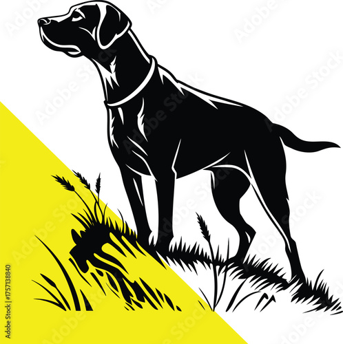 A regal labrador dog stands alert in a striking black silhouette