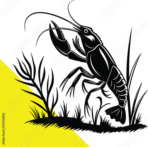 Detailed crawfish illustration with aquatic plants a striking black silhouette