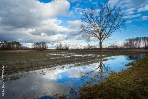 Εκτύπωση καμβά Water in the field and clouds in the sky