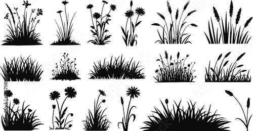 grass, wildflower, silhouette, black, nature, plant, flora, meadow, field, clump, growth, stem, leaf, flower, bloom, seed head, botanical, organic, natural, design element, isolated, collection, varie