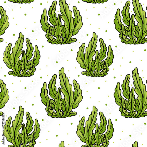 pattern of Aponogeton nats curly green in flat style with an outline. Watery, underwater texture textiles, wallpaper, packaging, surface design. Bright texture. Inspired by nature, bright, modern.
