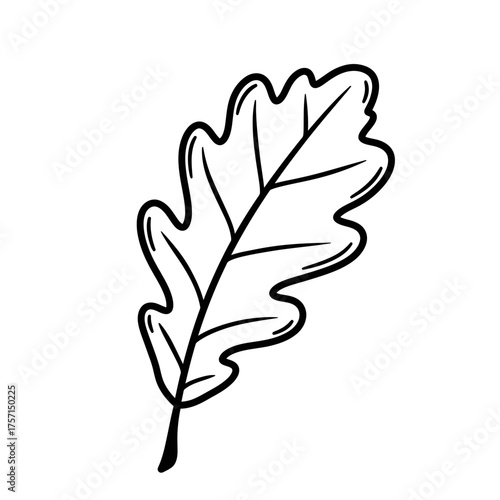Detailed Oak Leaf Illustration with Prominent Veins and Distinct Lobes.
