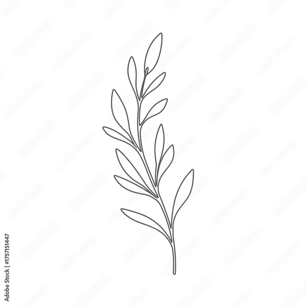 Fototapeta premium Minimalist line art of a delicate plant stem with leaves.
