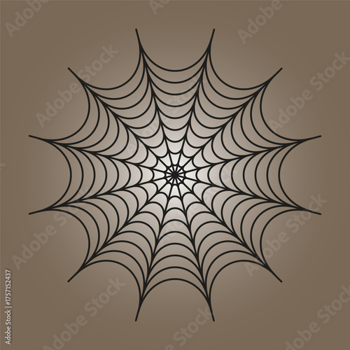 Cobweb spider web. Halloween ornament. Circular vector illustration. Wavy line design.