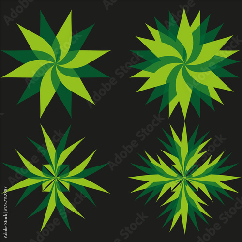 Green leaf illustration. Abstract floral pattern. Nature element Vector. Plant star shapes.