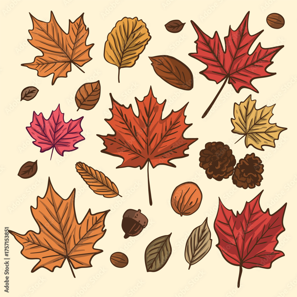 Obraz premium Spring Season Dry Leaves Clipart Illustration Set