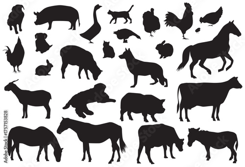 set of farm animal silhouettes on white background