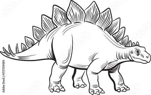 Black and white line art illustration of Stegosaurus dinosaur with characteristic back plates and tail spikes, prehistoric animal drawing for coloring book and paleontology education