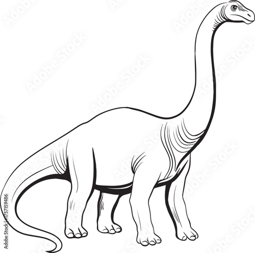 Black and white line art illustration of Diplodocus dinosaur with long neck and tail, prehistoric herbivorous animal drawing for coloring book and paleontology education