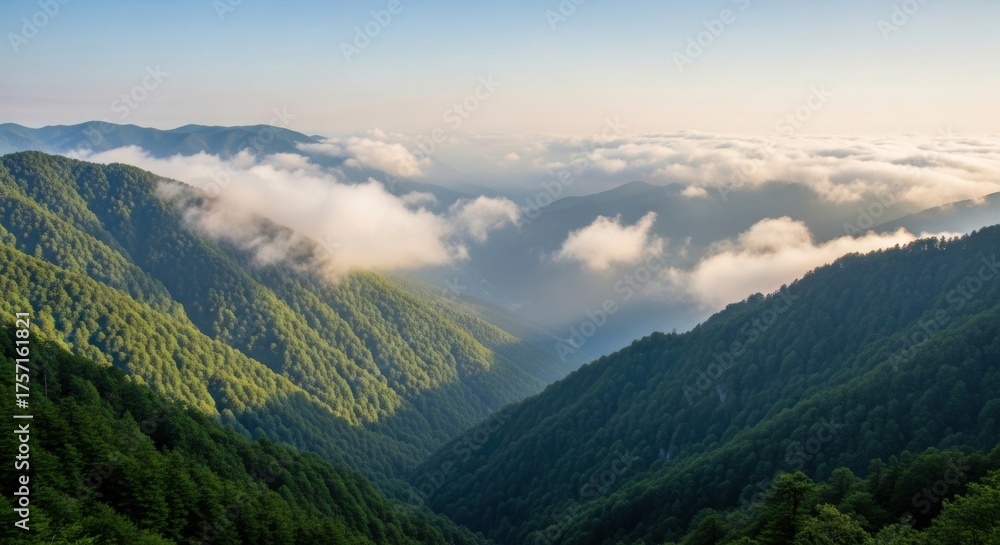 Naklejka premium Misty mountain valley sunrise with lush green slopes and clouds