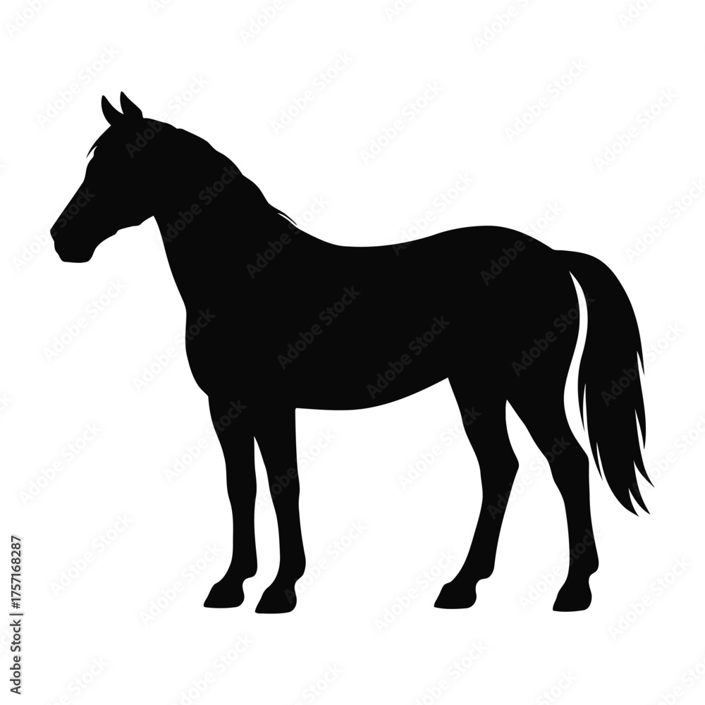 Obraz premium Horse Silhouette Vector Art Download: Black Equine Stencil Graphic