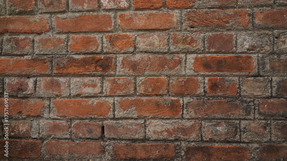 Obraz premium old brick wall background