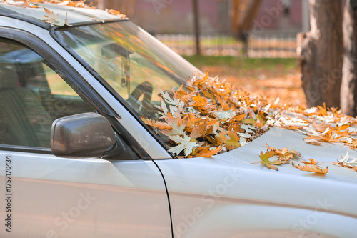 New car headlamp urban autumn