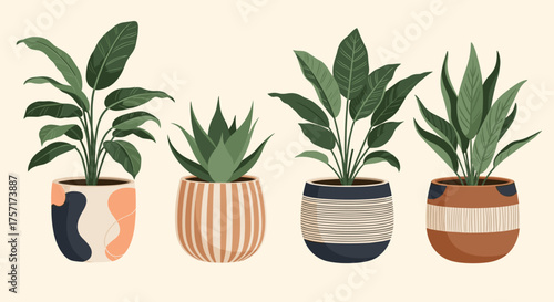 Four Potted Houseplants with Decorative Pots.