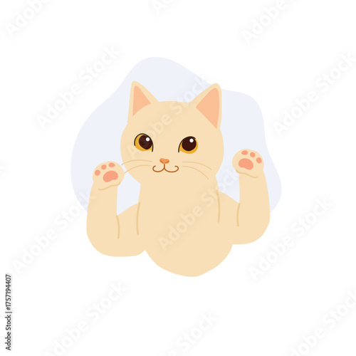 cute pet white cat with pink paws and brown eyes. a playful kitten with raised paws