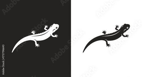 Simple black and white lizard salamander silhouette vector illustration.