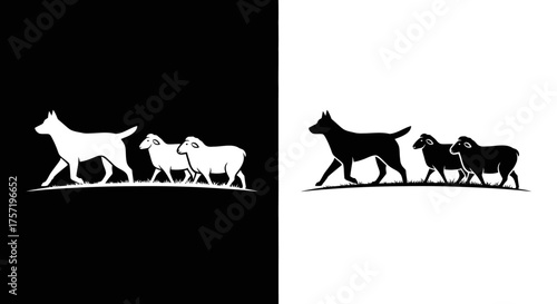 Herding Dog and Sheep Vector Illustration Silhouette for Farm and Livestock Branding