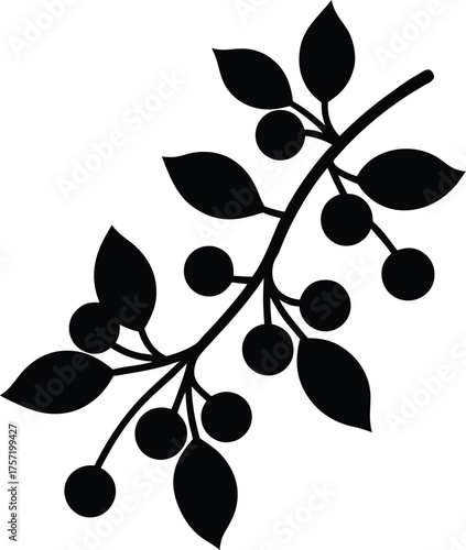 Mistletoe silhouette Black silhouette of a branch with leaves berries