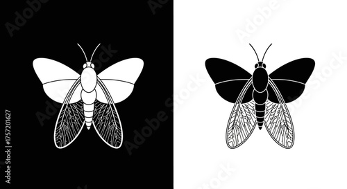 Stylized Moth Insect Vector Illustration in a Graphic Black and White Style