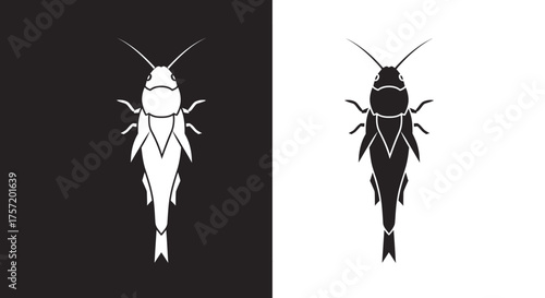 Monochrome silverfish insect icon set on black and white backgrounds.