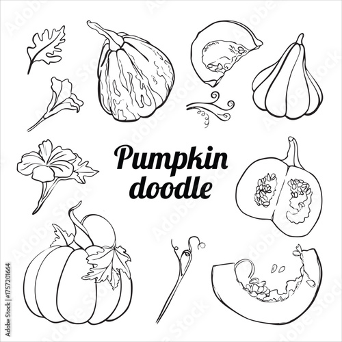 Pumpkin Doodle set. Hand-drawn pumpkin.