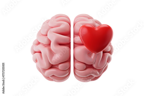 3d illustration icon of brain and heart, representing the mind and emotions. Isolated on transparent background, png