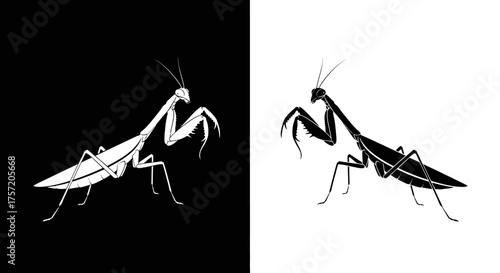 Icon Set Vector Illustration of a Minimalist Praying Mantis Silhouette in Black and White
