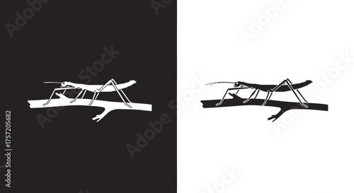 Minimalist Stick Insect Silhouette Vector Icon in Black and White