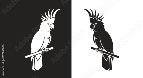 Monochrome cockatoo parrot silhouette perched on a branch.