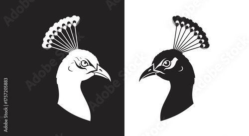Elegant Peacock Head Vector Icon Stylized Bird Silhouette for Luxury Branding