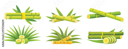 sugarcane ganna elements: indian, makar, snkranti, lohri, baiskhi, pongl, onam, bihu, gudi, padwa, nuakhai, puja, devi, festival, vector, illustration