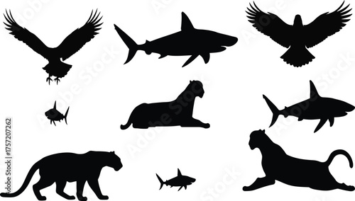 Animal silhouettes, bird shark big cat mix, black outlines, wildlife shapes, nature icons, posture grid, identification chart, design reference