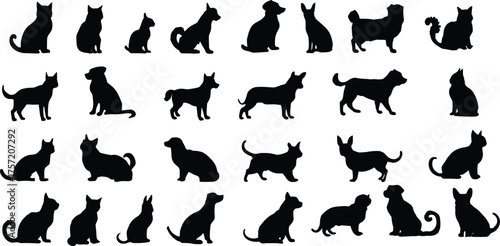 Animal silhouettes, cat dog poses, dragon lizard shape, black outlines, pet shapes, posture grid, creature design, identification chart, playful mix