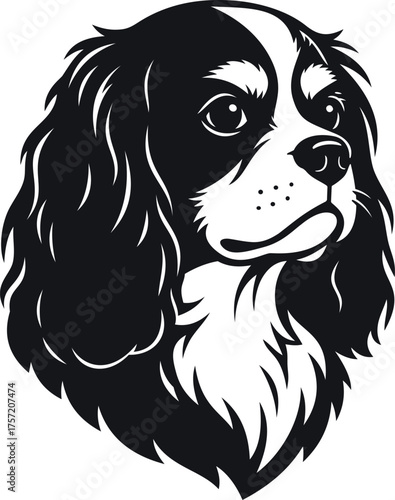 Cavalier King Charles Spaniel dog head vector illustration