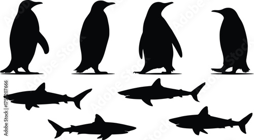 Contrasting Animal Silhouettes Vector Collection, Arctic Penguins and Ocean Sharks, Marine Wildlife and Fauna Graphic Icons.