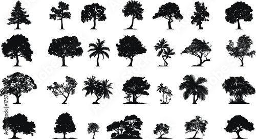 Diverse tree silhouette collection, featuring various species like pines, oaks, and palm trees, for nature, landscape, and architectural graphic assets.