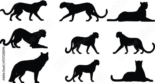 Diverse Wild Canine and Feline Silhouettes Vector Set, Panther, Leopard, and Wolf Icons in Various Poses, Isolated Wildlife.