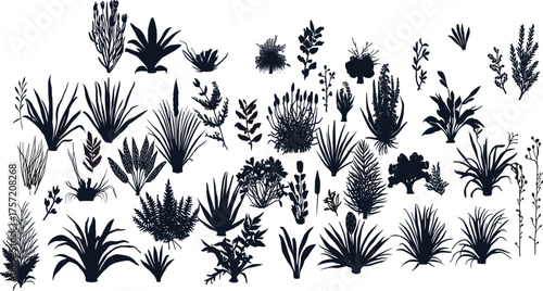 Extensive botanical silhouette collection, featuring diverse grasses, ferns, and shrubs for natural landscape, garden, and architectural graphic design assets.