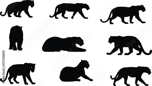 Stealthy Panther and Leopard Silhouettes Vector Set, Big Cat Predator Icons in Various Poses, Isolated Wildlife Fauna.