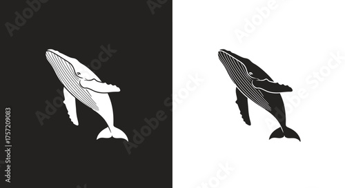 Minimalist Humpback Whale Vector Logo Illustration in a Black and White Stylized Design