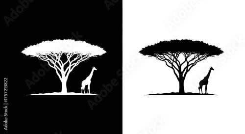 African Safari Logo Vector with Giraffe and Acacia Tree Silhouette Black and White