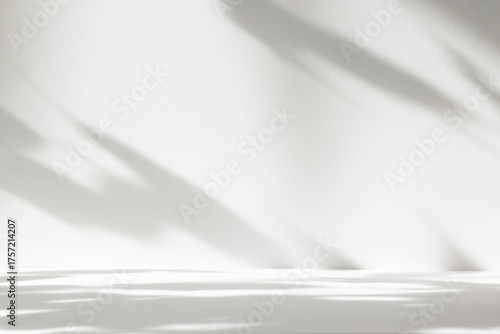 Abstract white color studio background for product presentation. Empty room with shadows of window and flowers and plant leaves . 3d grey room with copy space. Summer concept. Blurred backdrop.