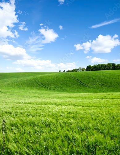 Lush green field under a vibrant blue sky (4)